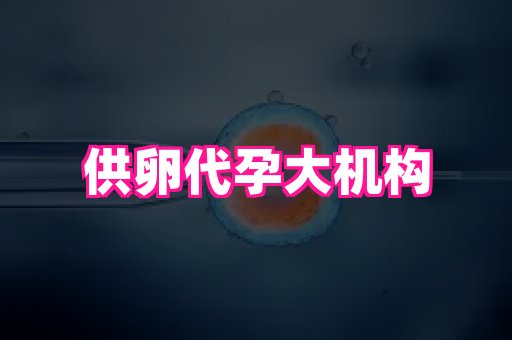 长沙助孕网 4